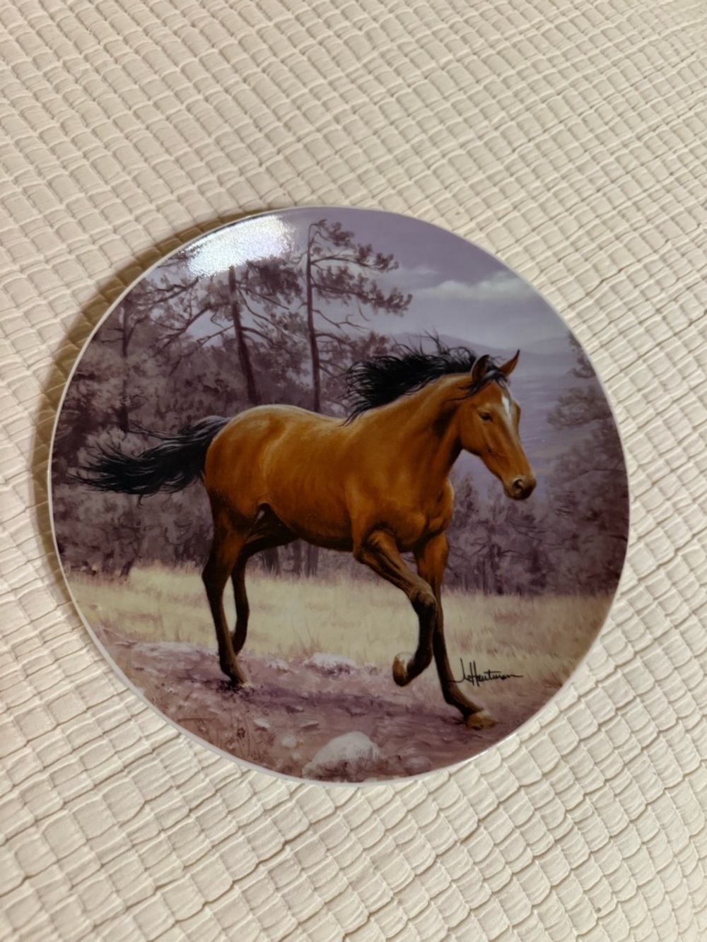2001 Collector Decorative Horse Decor Plate Western Equestrian Farmhouse